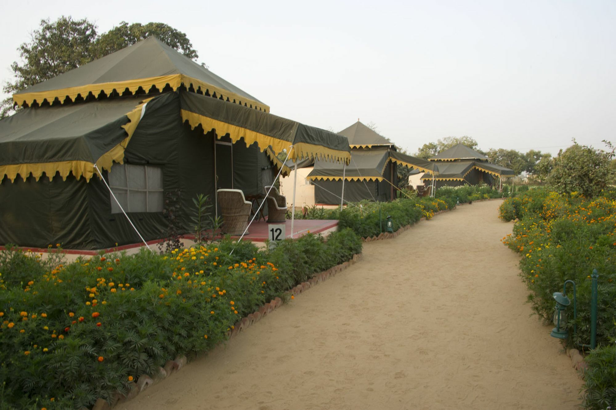 Orchard Tents & Tranquility Pushkar Exteriör bild